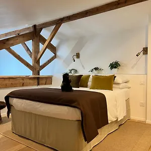Castor Coquin Cassis Aix En Provence Aubagne